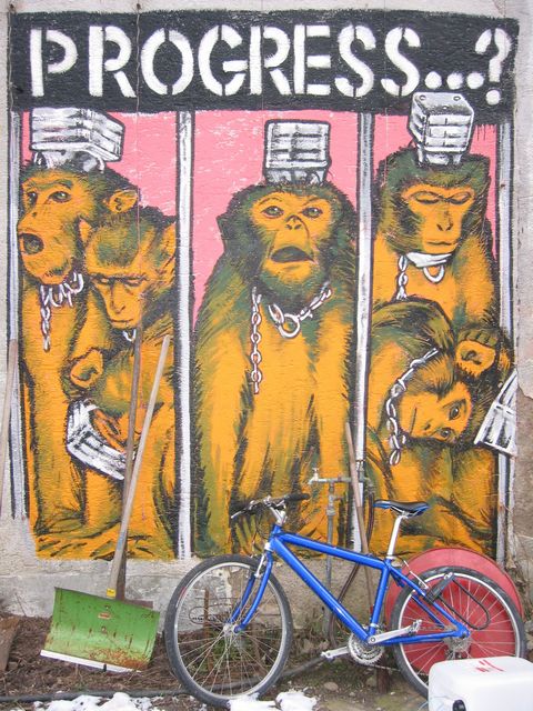 20040226_0006.jpg - click for next picture