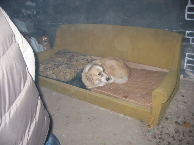 20040226_0033.jpg - click for next picture