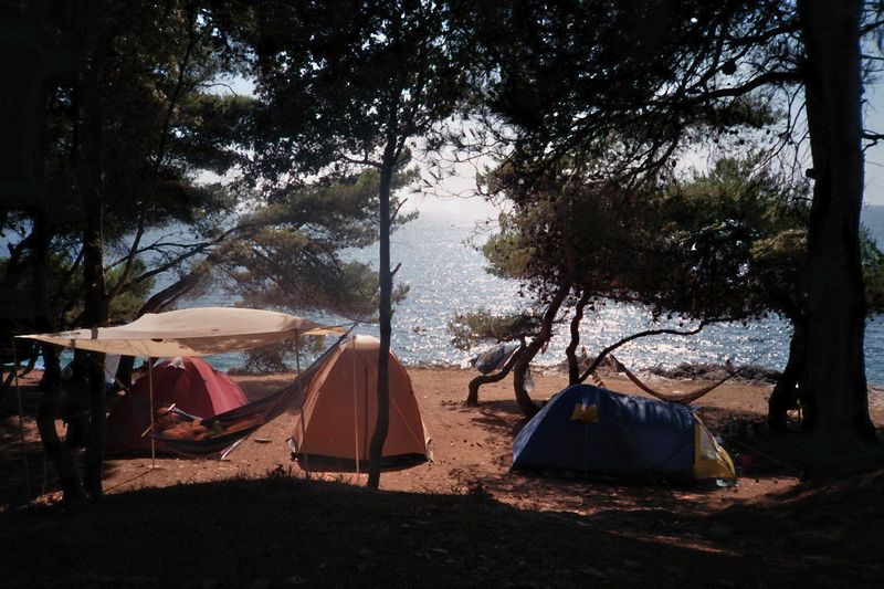 20090801_0030.jpg - click for next picture